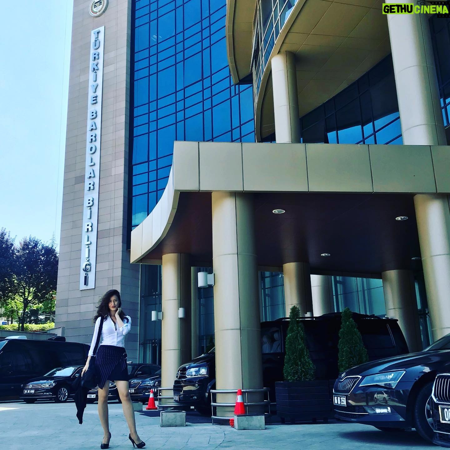 Gülşah Ertuğrul - 3 Likes - 📑💼
