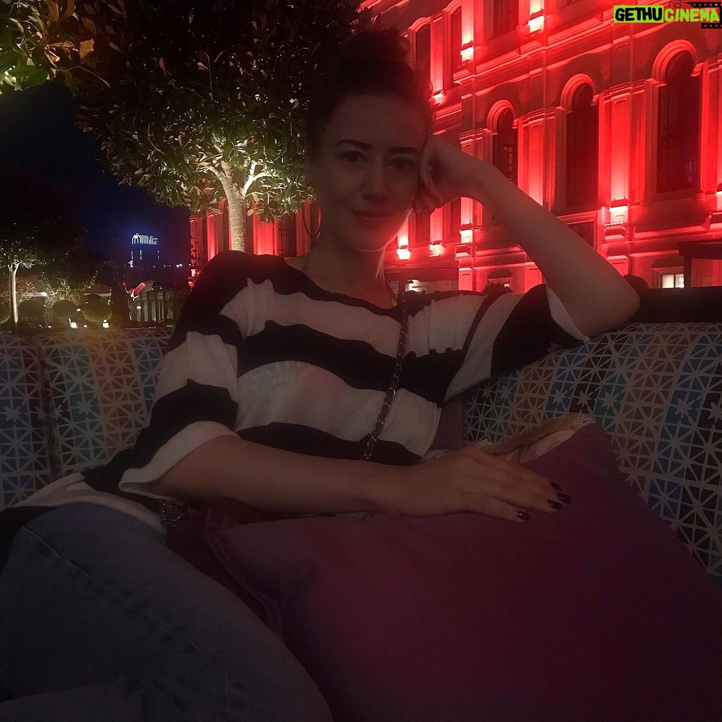 Gülşah Ertuğrul - 3 Likes - 🍁