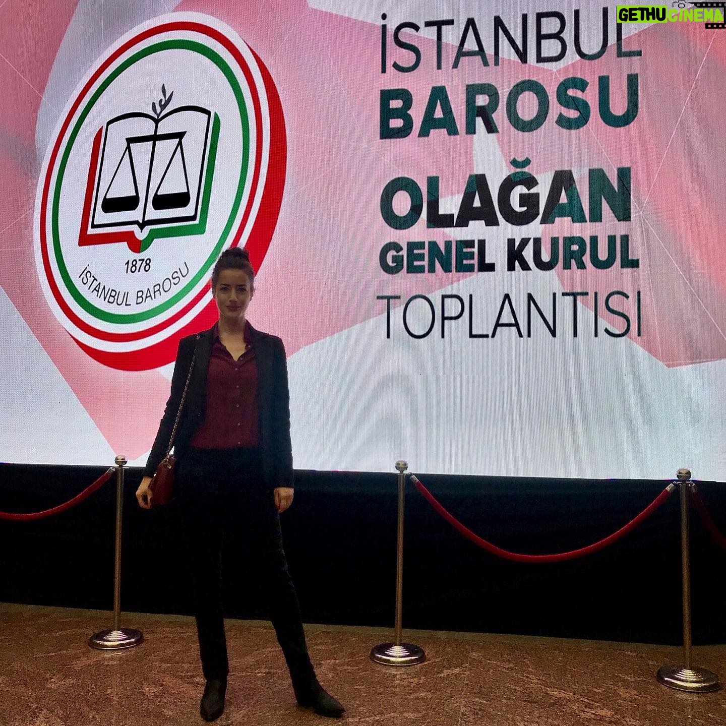 Gülşah Ertuğrul - 854 Likes - 📩
