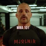 Gunnar Nelson