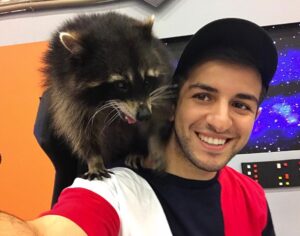 Guram Narmania Instagram - Познакомился с этими енотами пару лет назад и до сих пор подбегают ко мне каждый раз, как видят❤️
#гурамгрузин #rakamakafo #кликклак