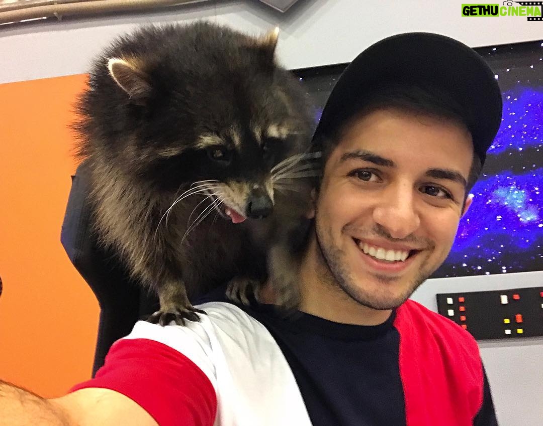 Guram Narmania - 18.9K Likes - Познакомился с этими енотами пару лет назад и до сих пор подбегают ко мне каждый раз, как видят❤️
#гурамгрузин #rakamakafo #кликклак