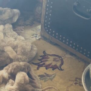 Gwilym Lee Instagram - Fond memories of some the amazing people, stunning locations, outrageous costumes (including my favourite Ewok gloves), and general japes, high jinks and good times that made up Season 2 of The Great. Oh…..and one helluva cute fur-ball of a dog. 

@thegreathulu Season 2 streaming on @hulu NOW! 

#thegreat #hulu #huzzah #dogsofinstagram