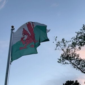 Gwilym Lee Instagram - Bit of R&R running, hiking, swimming and surfing around God’s own Country. Nice one Wales! 👍🏴󠁧󠁢󠁷󠁬󠁳󠁿 #gwlad #cymruambyth #cymru #wales #pembrokeshire