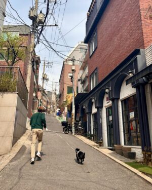 Ha Seok-jin Instagram - Young하게 지냈던 4월 recap
🌸🐕‍🦺🐾📸🏃🏻😈