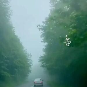 Habib Rezaei Instagram - گفت:

اصلا بگو باران نیاید؛خودم با همین چشمهایم ،حافظه کوچه پس کوچه‌های قلب را ازبی‌عابری خواهم شست.

و این صدای @homayounshajarian 
‌که خود،هر دمش،طروات باران دارد..