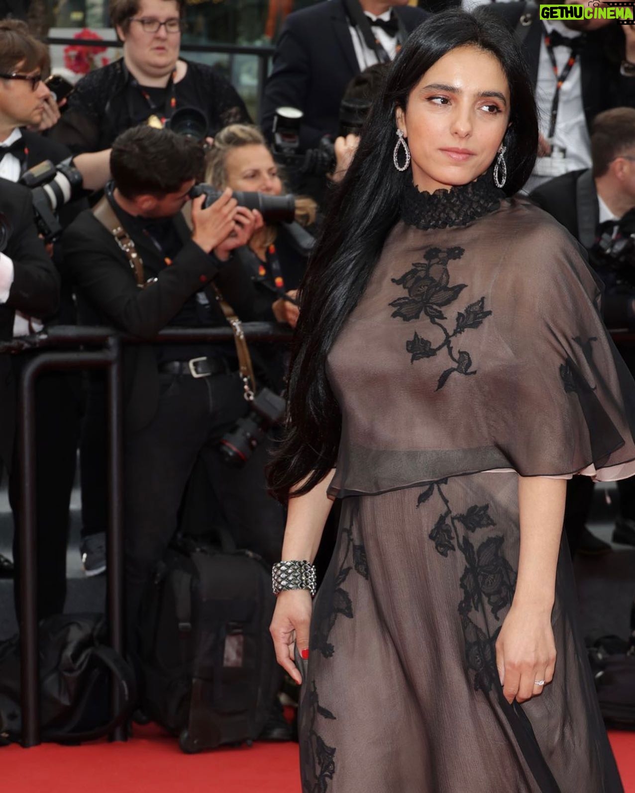 Hafsia Herzi - 3.2K Likes - Merci au @festivaldecannes @ava_cahen 💕présentation du film #leravissement de @iriskaltenback en compétition à la @semaine_de_la_critique merci à @albane.cleret @dior @diorbeauty @cami.arnaud @chopard @marylinek.aix @maryline_kc @ginger_9_nails @juliamz