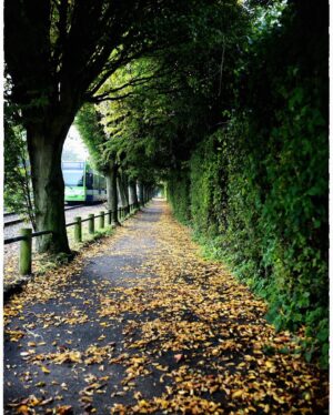 Hakan Ka Instagram - Son 8 senedir dünyadaki büyük sayfaların her sonbaharda defalarca yayınladığı Londra fotoğrafım farklı kerelerde çektiğim farklı versiyonlarıyla gelsin. 
#autumn #autumnvibes #autoestima #sonbahar #london #londra #victorialondon #england #londonautumn