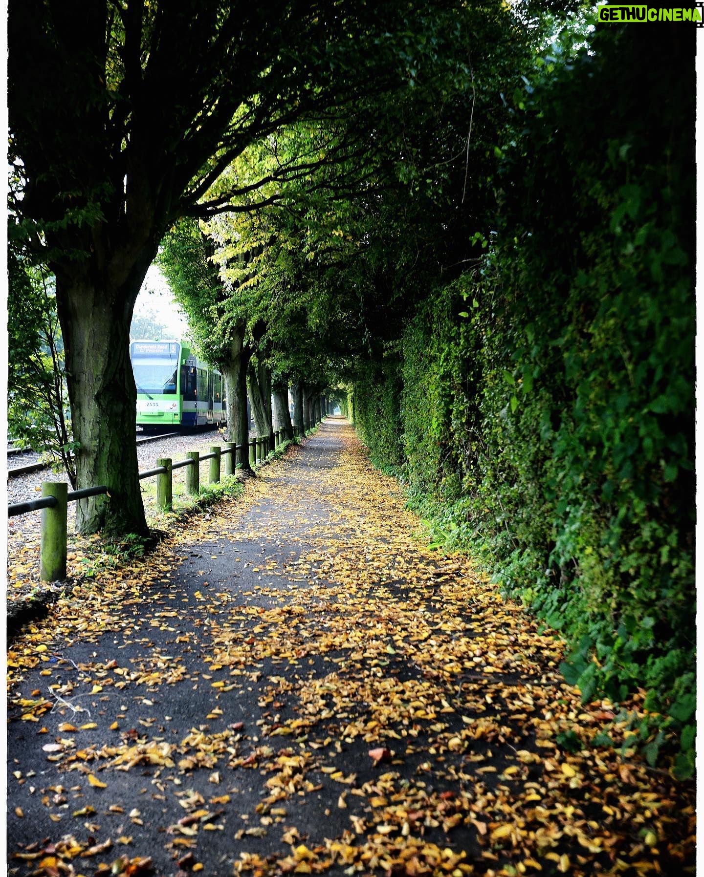 Hakan Ka - 2.2K Likes - Son 8 senedir dünyadaki büyük sayfaların her sonbaharda defalarca yayınladığı Londra fotoğrafım farklı kerelerde çektiğim farklı versiyonlarıyla gelsin.
#autumn #autumnvibes #autoestima #sonbahar #london #londra #victorialondon #england #londonautumn