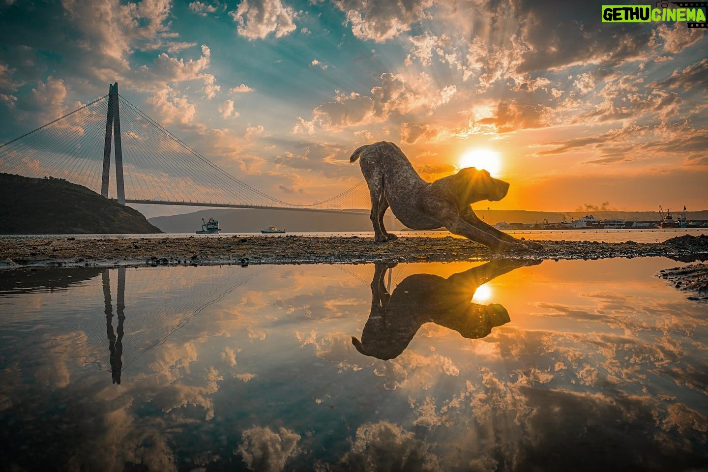 Hakan Ka - 2K Likes - O kadar özledim ki makinemi alıp saatlerce fotoğraf çekmeyi... Hayata poz vermektense, hayatın verdiği pozları fotoğraflamayı... Günaydın😊