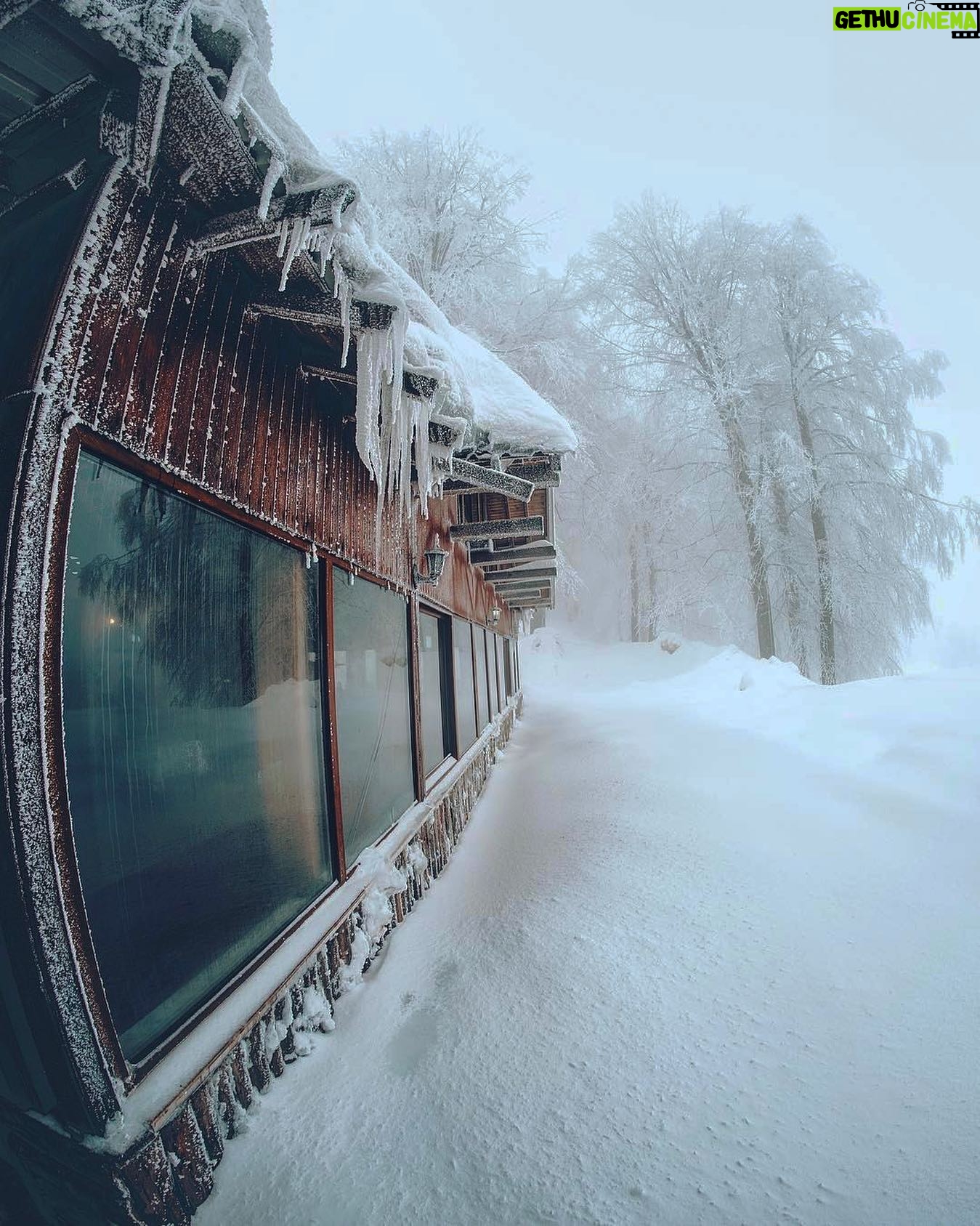 Hakan Ka - 2.3K Likes - Kar güzel; eğlenelim, yağsın ama kimseyi açıkta bırakmasın⛄️❄️ mutlu senelere, güzel insanlar...