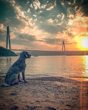 Hakan Ka Instagram - Güzel günlere bakıyor, tekrar doğacak güneşe... Her batış, yeni bir doğuşun habercisidir... #sosyalmesafe
