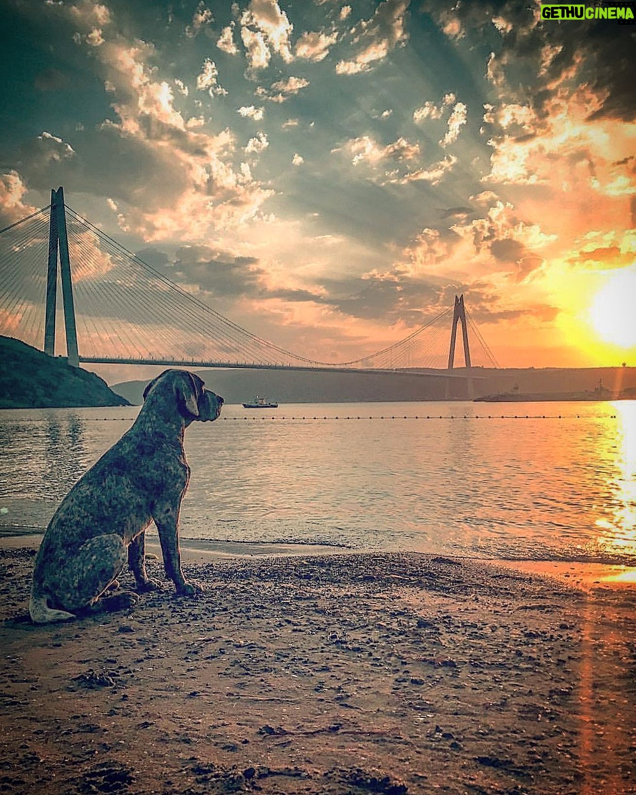 Hakan Ka - 1.8K Likes - Güzel günlere bakıyor, tekrar doğacak güneşe... Her batış, yeni bir doğuşun habercisidir... #sosyalmesafe