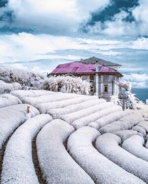 Hakan Ka Instagram - Mutlu kışlar ❄️ ⛄️ infrared tekniğiyle çekilmiştir 😜✌🏻😊