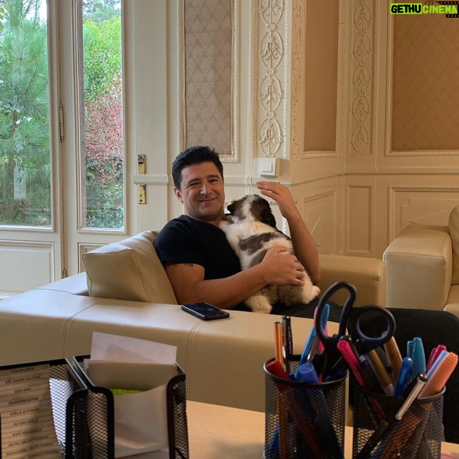 Hakan Ural - 26.3K Likes - Ailemizin yeni üyesi " Beethoven " ofiste kucakta ....bu tamamen hanımın tasarrufuydu 😇 iyiki olmuşmu ? evet 😊