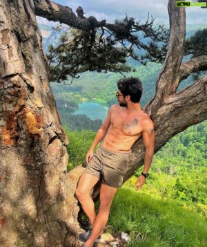 Halil İbrahim Demirkıran Instagram - nature 🍃🌿🌳🐿️🦔🐷🐻🐺🦇🐸🐰🐶🐭🦆🦅🪰🕷️🕸️🐌🐍🦂🦋🦟🐃 #nature #istanbul #sakarya #doğalyaşam #kamp #camping