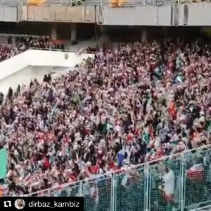 Hamid Goudarzi Instagram - حضور زنان در مسابقات فوتبال باعث کم شدن فحاشی هاوجذابتر شدن کیفیت تشویق ها وحتی شاید بهتر شدن بازی بازیکنان ‌نتیجتا یک فوتبال جذاب خواهیم بود فقط کافیست نگاهی به کشورهای پیشرو در این زمینه بیندازیم