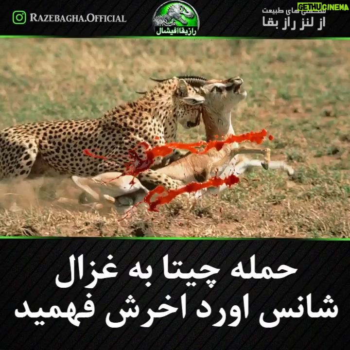 Hamid Lolaei - 18K Likes - ŁŲ§ŁŁŁ Ų·ŲØŪŲ¹ŲŖ ŁŲ³ŲŖ ŁŲØŁŁ Ų Ųر٠ŲŲ³Ų§ŲØŁ
ŁŁŪ Ł
Ł Ų¹Ų§Ų“Ł Ų§ŪŁ ŁŲŲøŲ§ŲŖ ŁŲ³ŲŖŁ
š¦
ŪŁ Ų¹Ų§ŁŁ
Ł Ų§ŁŲ±ŚŪ Ł
ŪŚÆŪŲ±Ł
.
Ų¢ŁŁ Ų¬Ų§Ł Ł
Ų±Ų³Ūš
ŲØŲØŲ®Ų“ŪŲÆ Ų§Ų³ŲŖŪŚ©Ų± Ų¢ŁŁ ŁŲØŁŲÆ ŲØŲ¬Ų§Ų“ ŲØŲ² ŚÆŲ°Ų§Ų“ŲŖŁ
šš
š
