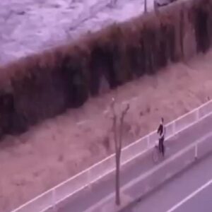 Hamid Lolaei Instagram - 