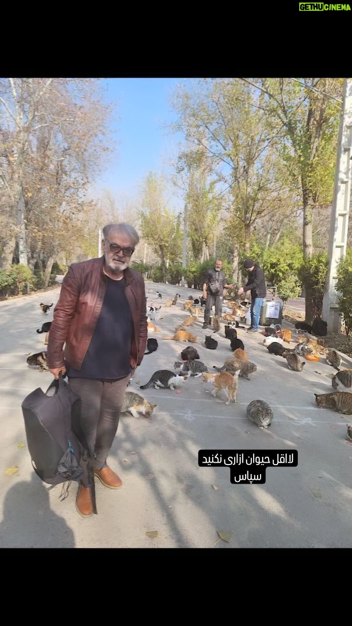 Most liked Instagram photo of Hamid Lolaei