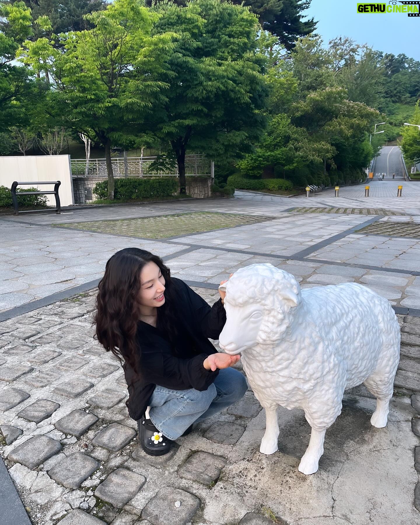 Han Dong-hee - 1.8K Likes - 히피펌 어디서 했니?🐑😝😆
