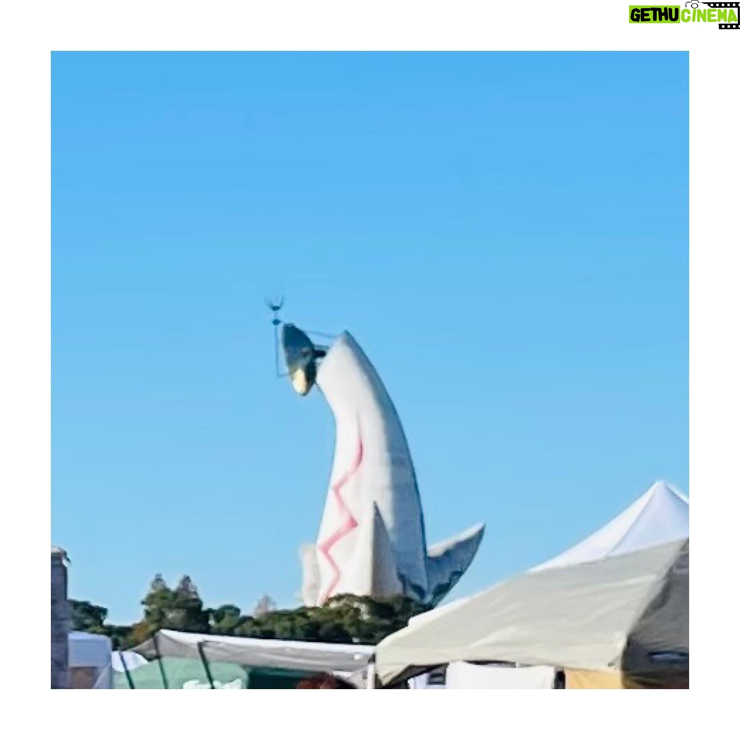Hana Sekitori - 3 Likes - 関西蚤の市、ありがとうございました🧶東京に続き出演させていただけて、めちゃくちゃ嬉しかったです!
広々とした万博公園での開催ということで、子どもたちが駆け回ったりする姿もたくさん見られて、素敵なモノと思わず笑顔になってしまう光景に囲まれての演奏、寒さなんてすぐに吹っ飛びました☺️
1.この日私たちは蚤の市に合わせてユーロビンテージのワークジャケットで合わせてみました🧥(谷ぴょんのは東京蚤の市で買ったもの)
2.ライブ中は、このイベントの温かい空気を特等席で味わわせてもらっている気分。本当にお客さんの表情が柔らかい笑顔ばかりで、幸せでした🌳
3.本番前にはシチニア食堂さんのチキンオーバーライスをいただきました🍚美味しすぎて米粒ひとつ残さず即完食。撮り忘れたけど他にもライブ後にはコーヒーとティラミスとチョコケーキを買って食べた🍽大満喫。
4.お土産もたくさん購入🎁額も買ってくればよかったー!
5.長くつ下のピッピの挿絵を描いているイングリッド・ヴァン・ニイマンの絵本も発見📚手持ちのお金がなくおろおろしていたら、谷ぴが早めの誕生日プレゼントでくれました😭ありがとう!ちなみに谷ぴのニット帽は私が誕生日にあげたやつ。きゃわいい。
6.太陽の塔、横から見ると猫背でかわいかった🌞
何かを愛おしく思う人々が集う空間って、いろんな発見があって、たくさんの刺激をもらえます。絶対またここで演奏したいなーー!ミス蚤の市になれるように精進いたします!!
#関西蚤の市