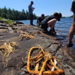 Hannah Anderson Instagram - I had the time of my life this summer at @lureofthenorth doing their 8 day wilderness survival course lead by Kielyn Marrone from Alone Season 7!

I was so incredibly inspired watching her journey on the show and how badass and vulnerable she was, let alone the fact that she survived 80 days in Alaska, well, ALONE. 

Kielyn and her husband Dave’s philosophy of “do more with less” is really hitting home with me. Kielyn was such a wonderful leader and taught us how to build shelter, forage for food, fell trees and cut firewood, make our own fishing rods/lures, process fish, set snares, make baskets, and much more.

What was meant to be more of a solo experience turned into a beautiful community of lovely people sharing what we could, and I cannot wait to go back this Winter. I’m hooked.