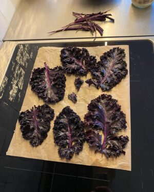 Hannah Hoekstra Instagram - mama’s garden purple kale chips and dip story from weeks ago