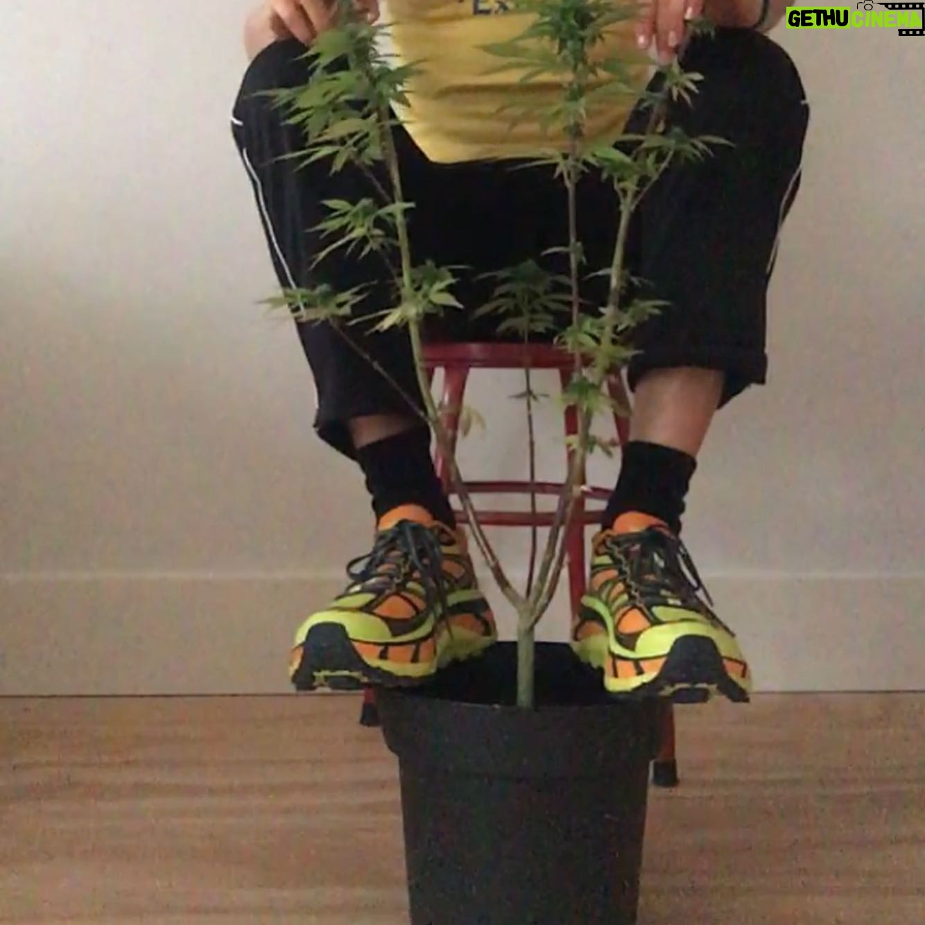 Hannah Hoekstra - 5.5K Likes - keeps je feets dry ja