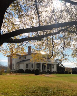 Hannah James Instagram - Four day countdown 🦃

#va #home #holidayseason
