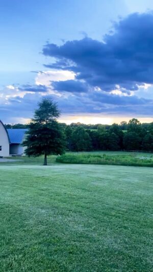 Hannah James Instagram - One week countdown 🎊

@emilyverenicoll 

#homewardbound #va #farmlife #puppylove