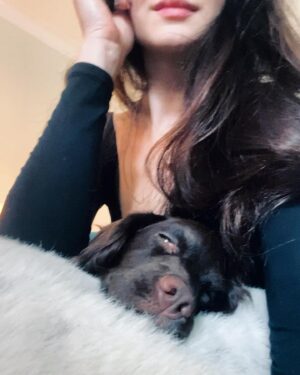 Hannah James Instagram - That is one perfect nose 🖤

#happy #homecoming #puppy #love #scarletdragon