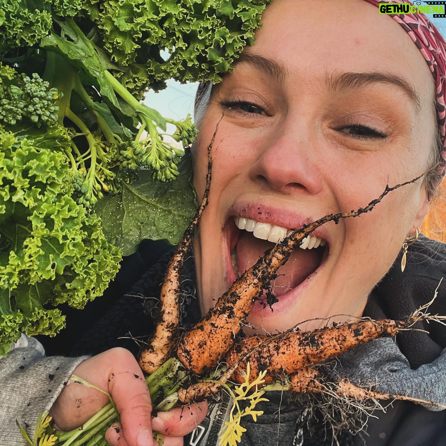 Hannah New - 0.9K Likes - Happy New Year you lovely beings! I know it is nearly a week late but here’s to 2024! 2023 was filled with learning and growth… both personally and literally. It was the first year I grew my own veg and I’m so bloody grateful for the patch and everything it has given me and my loved ones…And continues to give even in the depths of winter!! Can’t recommend veg patch therapy enough!!! My plans for the patch are bigger and better for 2024… and my dreams for my own growth are huge too!! I’ve been working away on a very fun writing project this first week of 2024 and I can’t wait to share it with you all. In the meantime I wanted to say a huge thanks to all of you lot too who have watched and enjoyed my thespian escapades… there’s a lot more to come in 2024 so watch this space! So much love to you all and hoping all your dreams for 2024 come true! ❤️💫🥂🍾🥦🥕🥰❤️🌸🍄🙏😘 #vegpatchtherapy #growyourown #growthmindset #grubbyandgrateful #bridgertonseason3 #blacksailsnetflix #bringon2024