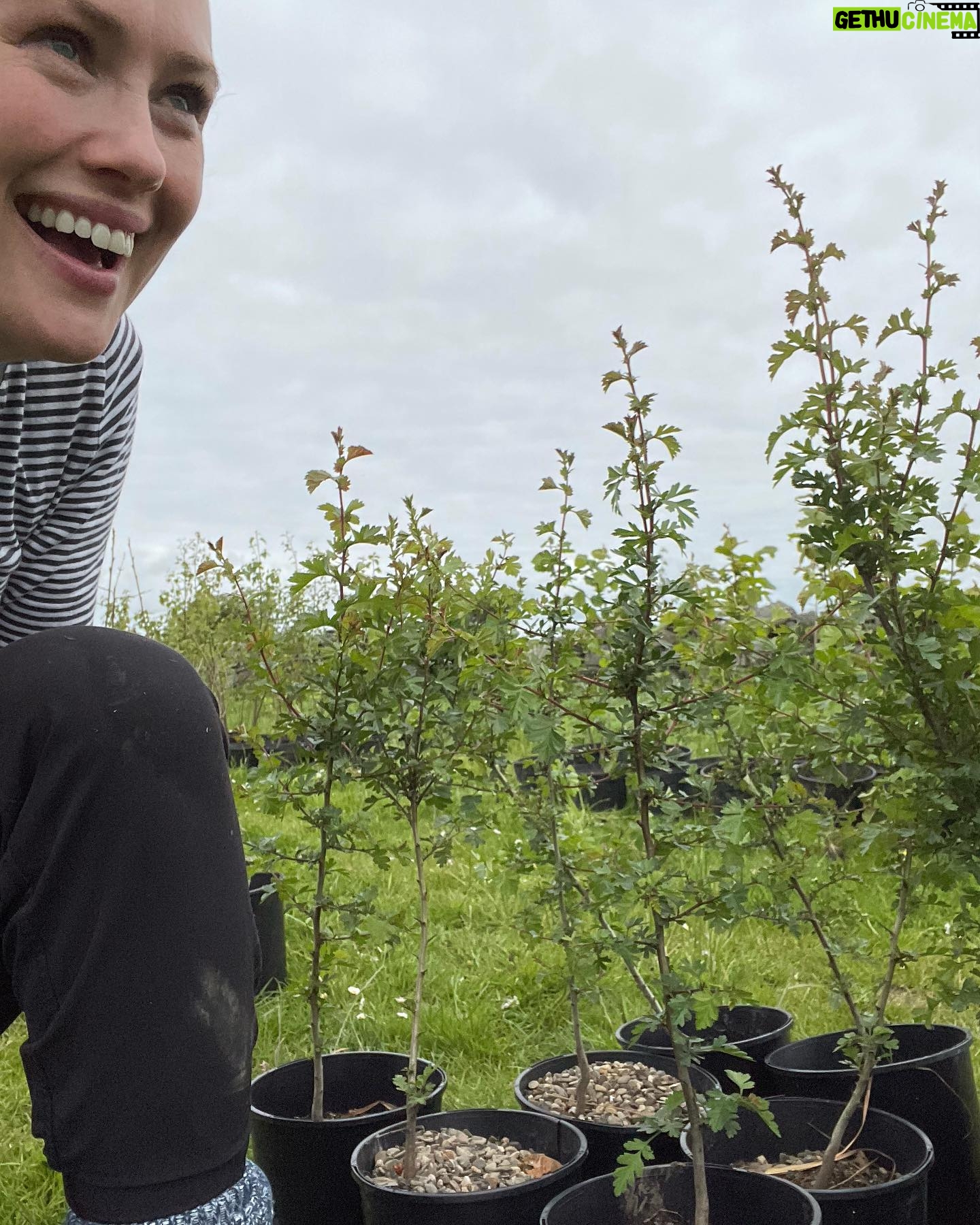 Hannah New - 1.2K Likes - Thank you for a beautiful day @hometreecharity @mitchcorbettnawia and @honestcaptain Can’t wait to see these little beauties grow! #nativewoodland #rewilding #saveoursoil #treehugger #muckyandhappy #generationrestoration #worldenvironmentday