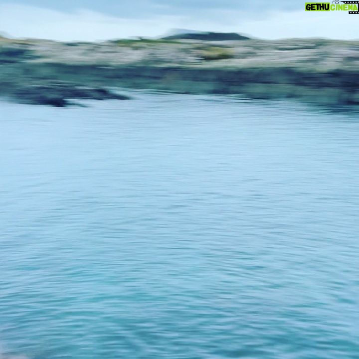 Hannah New - 1.1K Likes - Cold water mermaid practice…the smile is literally frozen on my face since the icy dip…thank f*ck the first face I made when I got in didn’t stick!!! Thanks to @mccreadievicki @faypreene for the inspiration! 🤣🧜♀️ #mermaidintraining #brassmonkey #coldwaterswimming #mentalhealthmatters #wimhof #waterwarriors #happyplace #oceangratitude