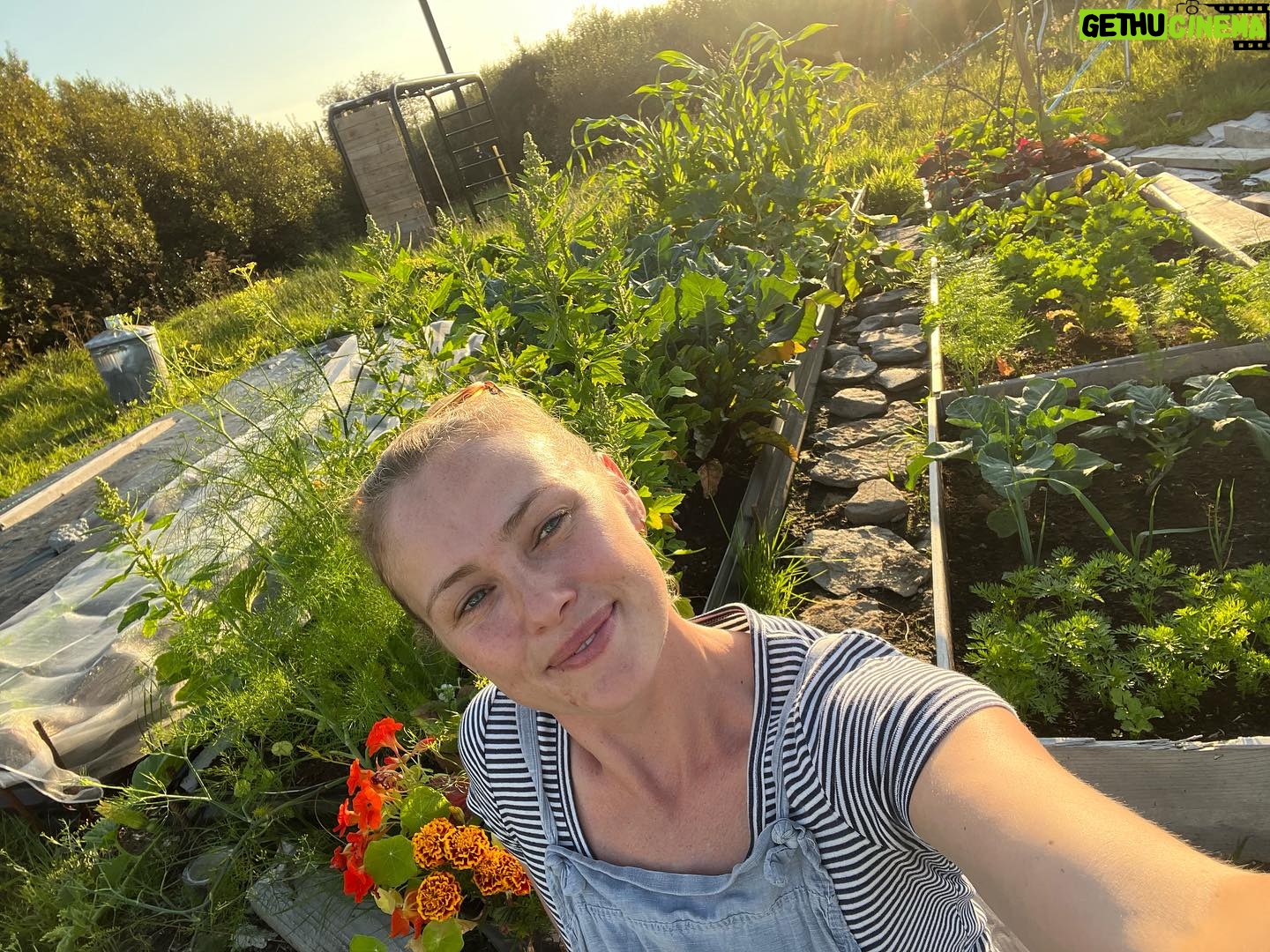 Hannah New - 1K Likes - Pretty chuffed with the veggie patch too! 🥔🥬🥕🥒🥦🧅🌶️🌽🥰 #growyourown