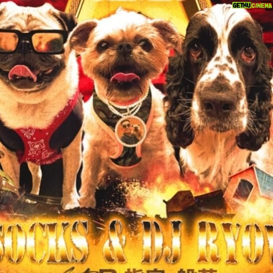 Hannya - 8.8K Likes - Osanpo REMIX
ペットショップより保護犬
全ての動物が幸せになって欲しい
#保護犬
