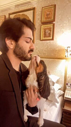 Harshvardhan Kapoor Instagram - Jack ❤️ 

#dogsbettterthanhumans #reels
