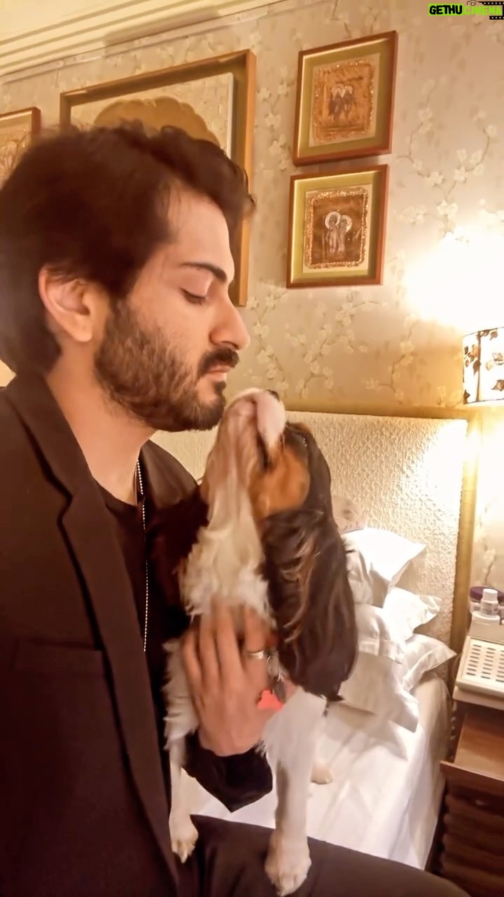 Harshvardhan Kapoor - 3 Likes - Jack ā¤ļø
#dogsbettterthanhumans #reels