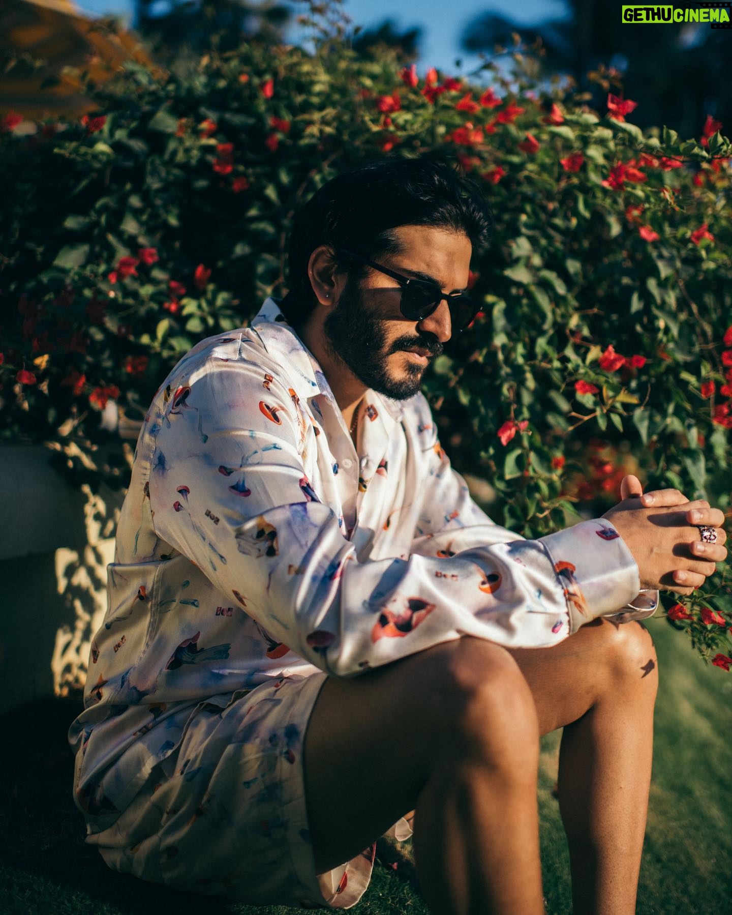 Harshvardhan Kapoor - 3 Likes - @nahmias__
@doni.nahmias
Psychedelic mushroom