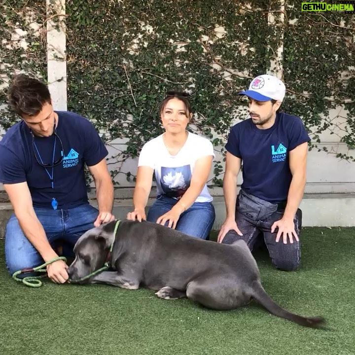Hartley Sawyer - 27.6K Likes - A MESSAGE FROM THUNDER AND US! WATCH and share! @ahomeforthunder ahomeforthunder @jparkerk3 @itsmattbush
#
www.gofundme.com/f/thunder-needs-help
#dogsofinstagram #adoptdontshop #saveAlife #giveback #theflash