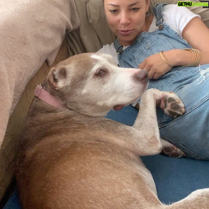 Hartley Sawyer - 42.6K Likes - When Jessica met Maggie. Special appearance by BeeGee. ❤️🐾 Dogs make the world go around. #adoptdontshop @jparkerk3 #pitbullsarelove #dogsofinstagram #theflash