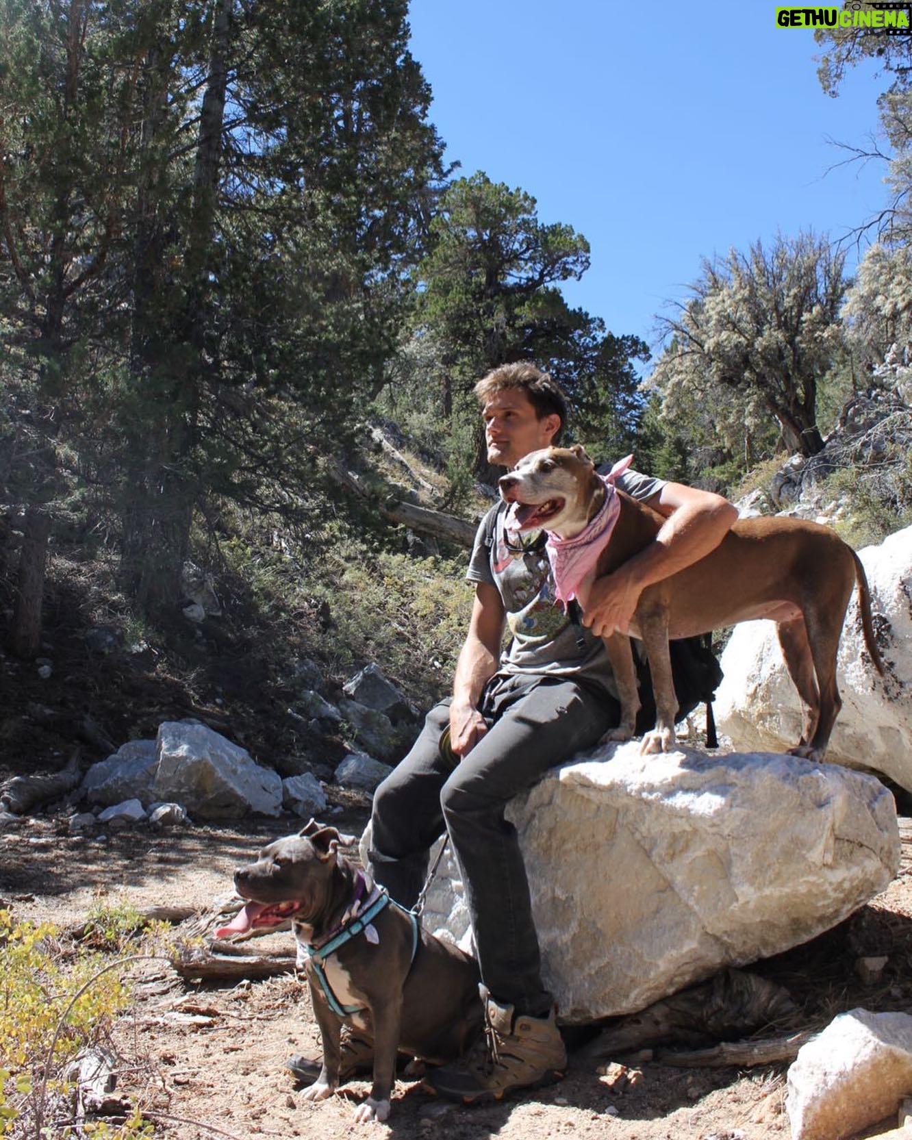 Hartley Sawyer - 26.4K Likes - Up in the mountains with my girls. Go outside! Whenever you can. #nature #hiking