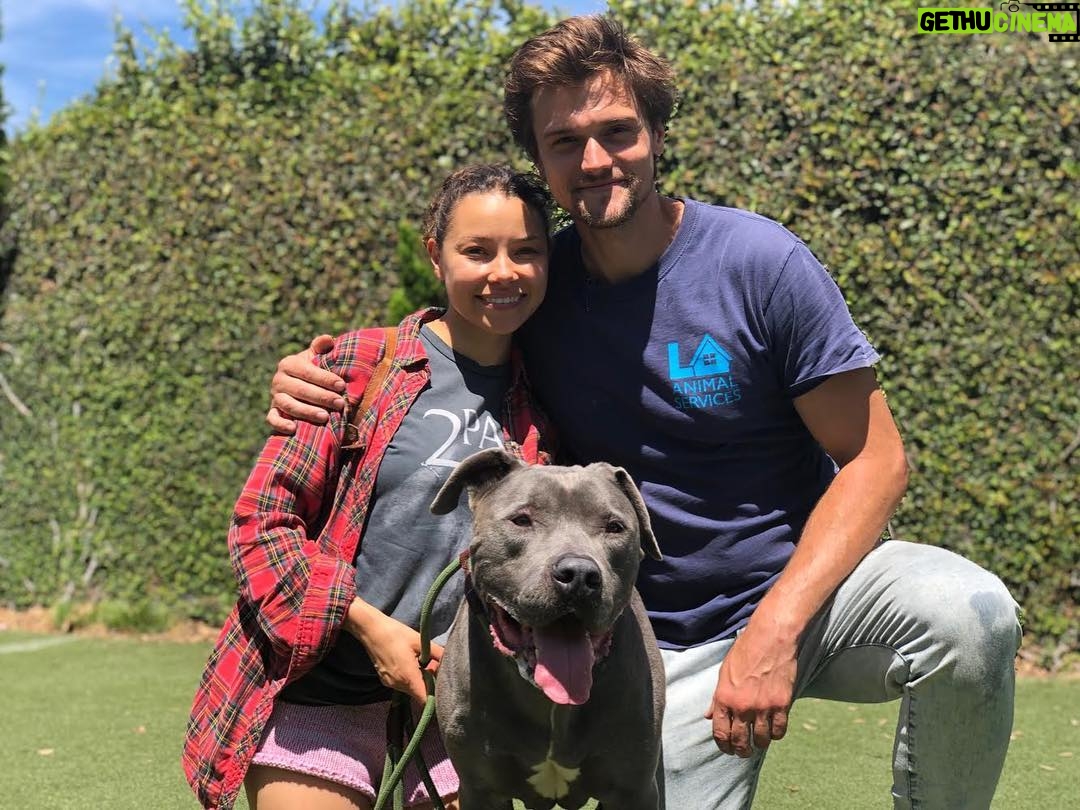 Hartley Sawyer - 50.6K Likes - Yesterday, my good friend @jparkerk3 aka Lil’ Rookie stopped by to check out South LA shelter. She met the wonderful Thunder - one of the dogs I have had the pleasure of working with. Thunder is alerted for medical reasons, and he needs OUT of the shelter. Check out @mikeruizone page for more on Thunder and other dogs in great need. With the 4th coming, we need help more than ever. Join us, or foster #4daysforlife (link in bio) - you have more power to help than you know, and these wonderful dogs need our help. Be of service: it will save you. #adoptdontshop #volunteer #dogsofinstagram #theflash #jessicaparkerkennedy