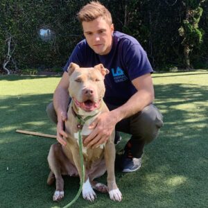 Hartley Sawyer Instagram - Got back to LA this morning for a couple days before #SDCC - first stop after saying hi to Maggie and BeeGee was South LA Animal Shelter to see my girl Rosie. Rosie has been at South for OVER a *year* and is a wonderful dog. I LOVE this dog. She is so special. We are full. We are always full. We need help or lives will be lost. Help us out, @mayorofla !
#adoptdontshop #volunteer @southla_animalshelter @southlaanimalsheltervolunteer