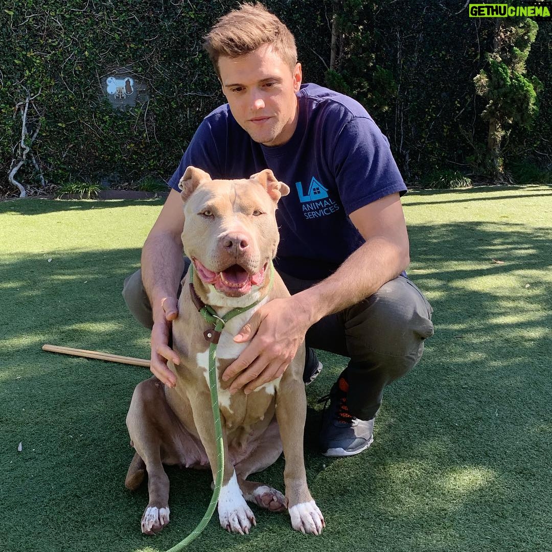 Hartley Sawyer - 32.3K Likes - Got back to LA this morning for a couple days before #SDCC - first stop after saying hi to Maggie and BeeGee was South LA Animal Shelter to see my girl Rosie. Rosie has been at South for OVER a *year* and is a wonderful dog. I LOVE this dog. She is so special. We are full. We are always full. We need help or lives will be lost. Help us out, @mayorofla !
#adoptdontshop #volunteer @southla_animalshelter @southlaanimalsheltervolunteer