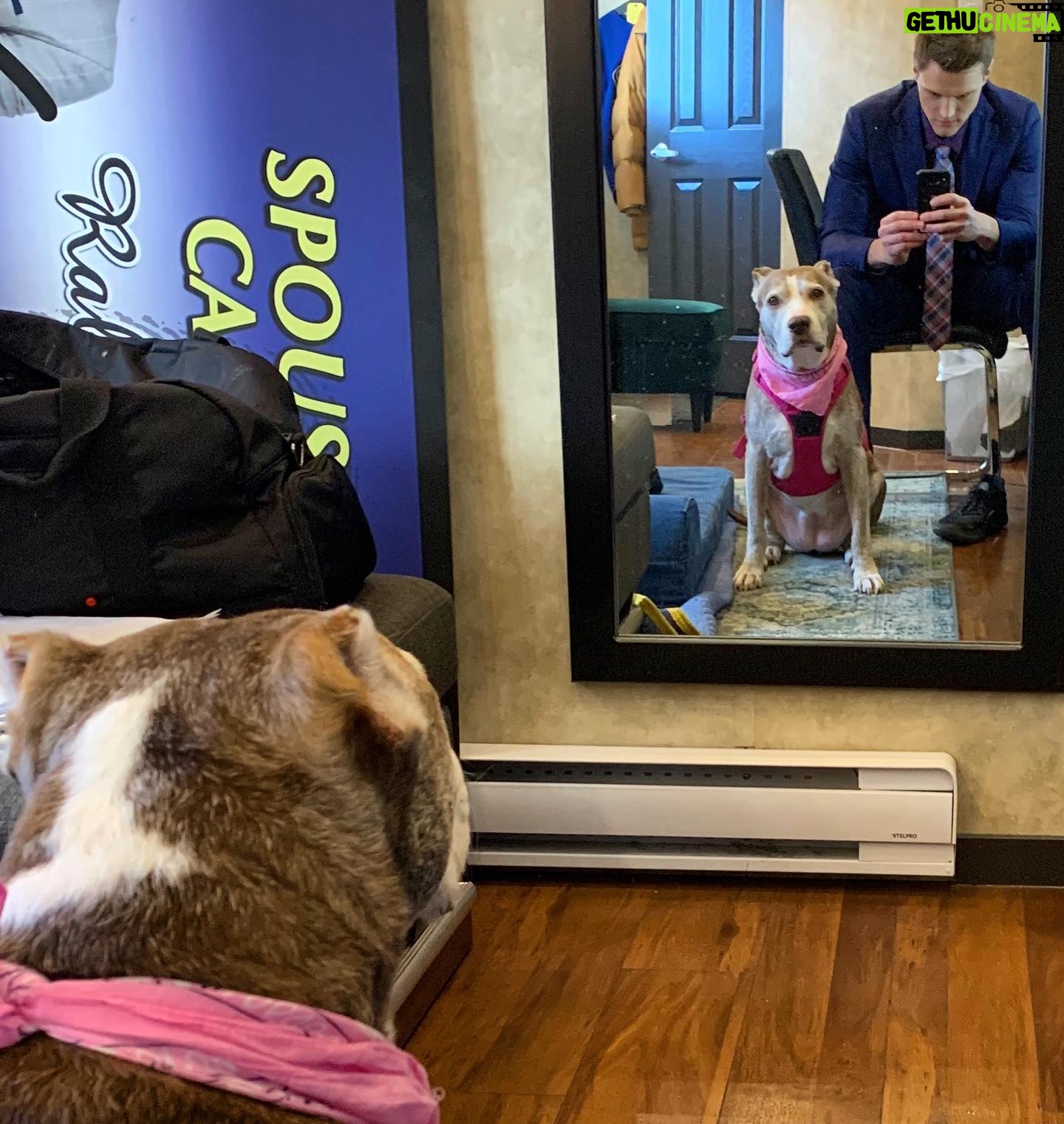 Hartley Sawyer - 27.1K Likes - Working on her Daily Affirmations: Because she’s good enough, she’s smart enough, and doggone it, people like her. #adoptdontshop #olddogsrule #dogsofinstagram #pitbullsarelove