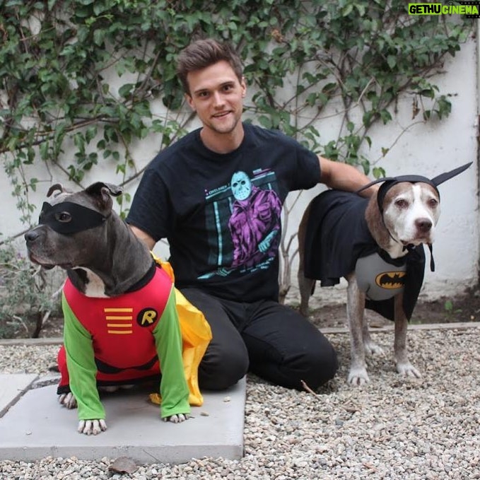 Hartley Sawyer - 47K Likes - We hope everyone had a deliciously macabre Halloween. Happy Halloween from me, BatMag and BeeBin! #happyhalloween #adoptdontshop