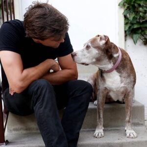 Hartley Sawyer Instagram - Happy 13th birthday to my Maggie! She is recovering from her surgery and it is a miracle to see how fast she is healing considering all she has been through. We are still awaiting results on biopsy of the tumor and her thyroid gland. She is made of iron and is unbelievably strong. Maggie is my whole heart and I wouldn’t be here without her. We have spent the last eight years together and inseparable and they have been the best years of my life. I love you so much. 
#
This beautiful throwback photo 📸 from a few months ago captured by my incredibly talented friend @rita_earl_blackwell 
#happybirthday #throwback #pitbullsofinstagram #dogsofinstagram #adoptdontshop @angelcitypits