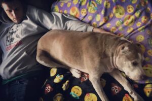 Hartley Sawyer Instagram - Almost her 13th birthday. Scroll right to see the incision. Me and my absolute love, my little girl Maggie home after her big surgery - the two of us doing what we do best (💤💤💤). Prioritize your furry family members health - low income options are available in many areas! Start a savings for any emergencies. And before you bring a dog home, make sure you’ve *really* thought it through. 
#
Hoodie = @standupforpitsfoundation 
#pitbullsofinstagram #dogsofinstagram #adoptdontshop #angelforever 
@angelcitypits
